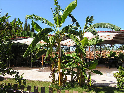 Agriturismo Agave フェルティリア エクステリア 写真
